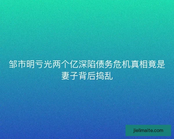 邹市明亏光两个亿深陷债务危机真相竟是妻子背后捣乱